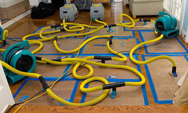 Professional Structural Drying And Dehumidification technician working in Sheridan, TX