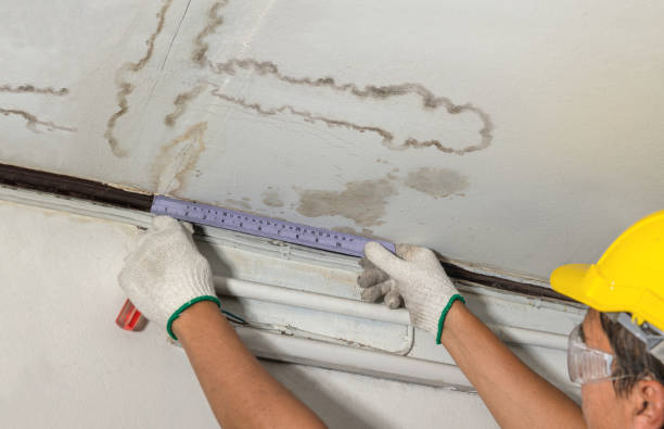 Affordable Water Damage Repair solutions in Sheridan, TX